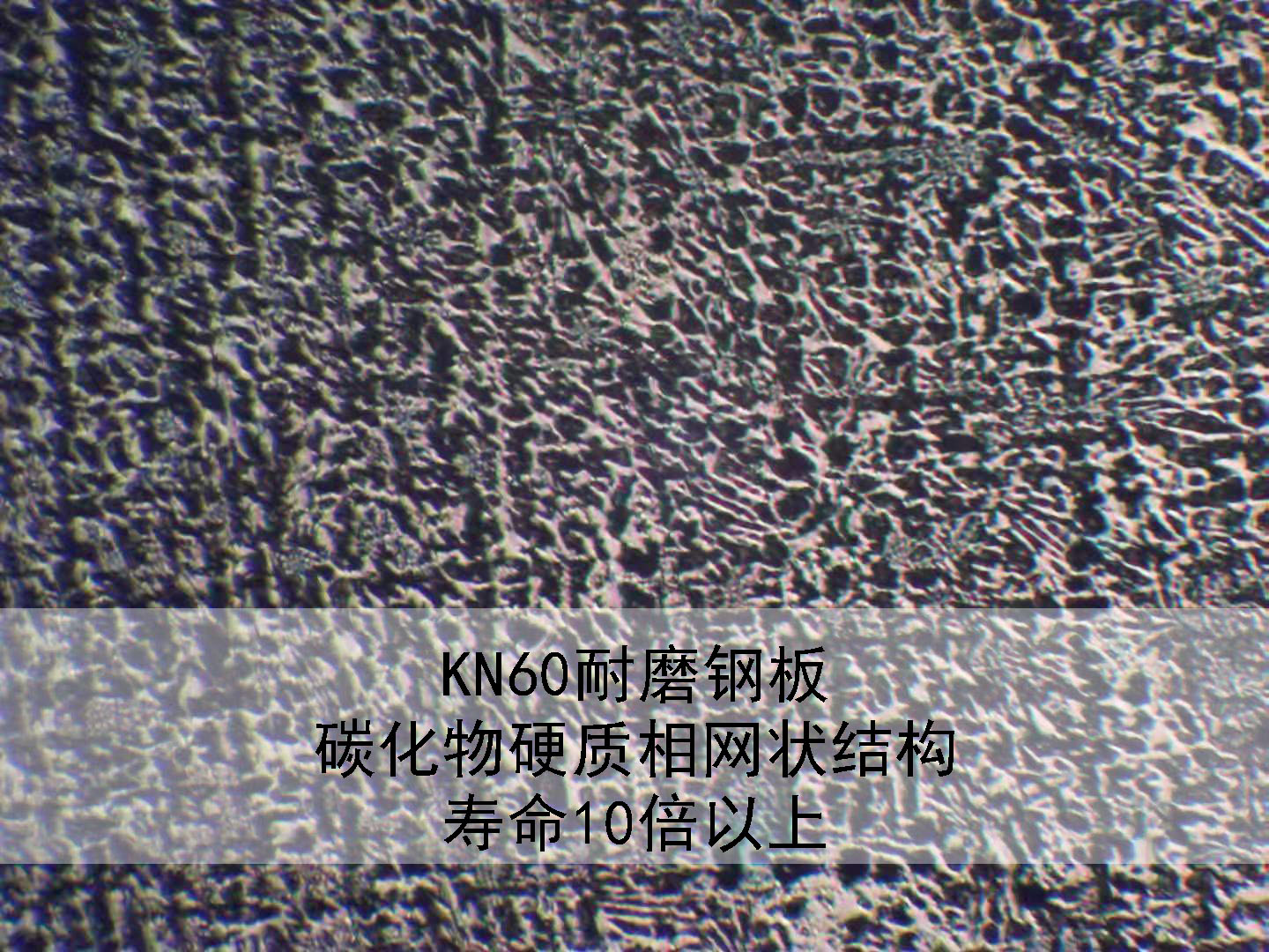 tĥͺ䓰KN60(yu)